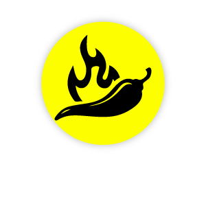 sabores_Chili BBQ